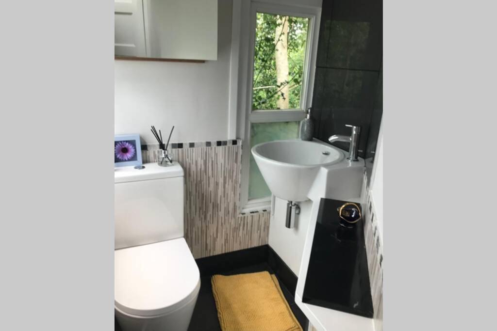 The Shed . A Cosy, Peaceful, 96% Recycled, Chalet. Swansea Luaran gambar