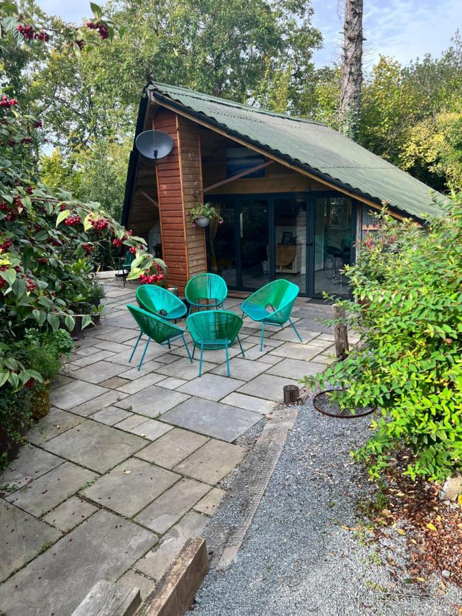 The Shed . A Cosy, Peaceful, 96% Recycled, Chalet. Swansea Luaran gambar